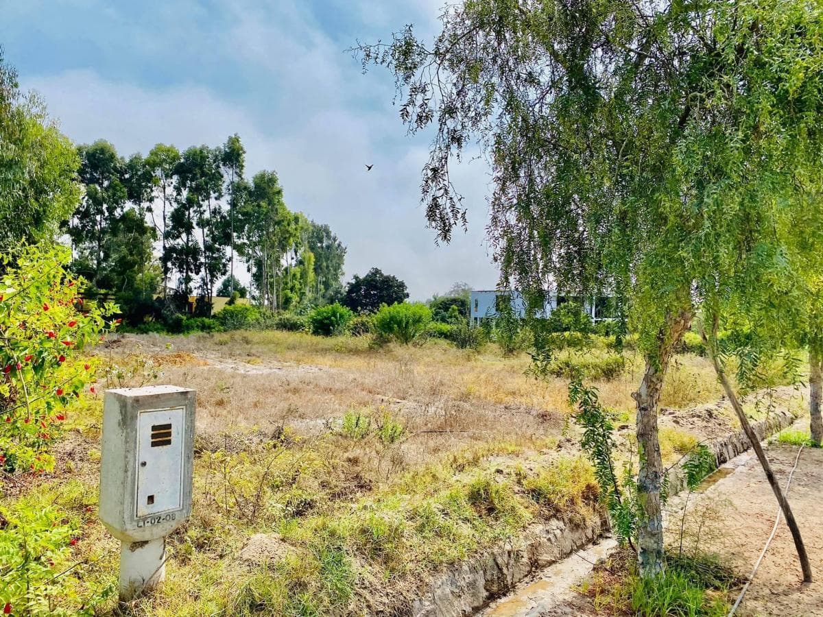 VENDO HERMOSO TERRENO DE 3316 MT2, CONDOMINIO OASIS DE SAN ANDRES - 1