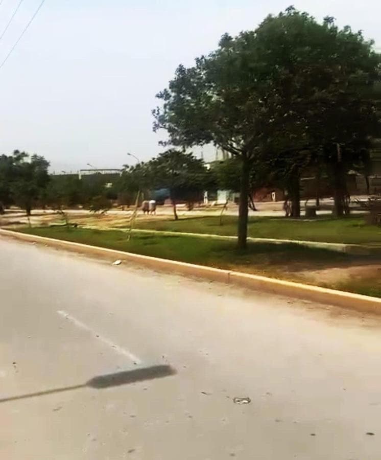 Venta de Terreno en Carabayllo Id: 3 7 6 4 3 - 1