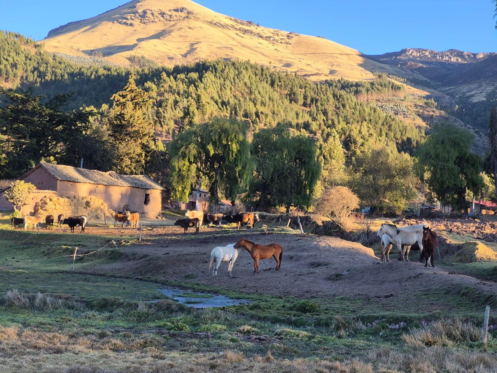 Vendo Hermosa Propiedad en el Valle Sagrado de los Incas, Cusco (Yellowstone Park del Peru) - 1