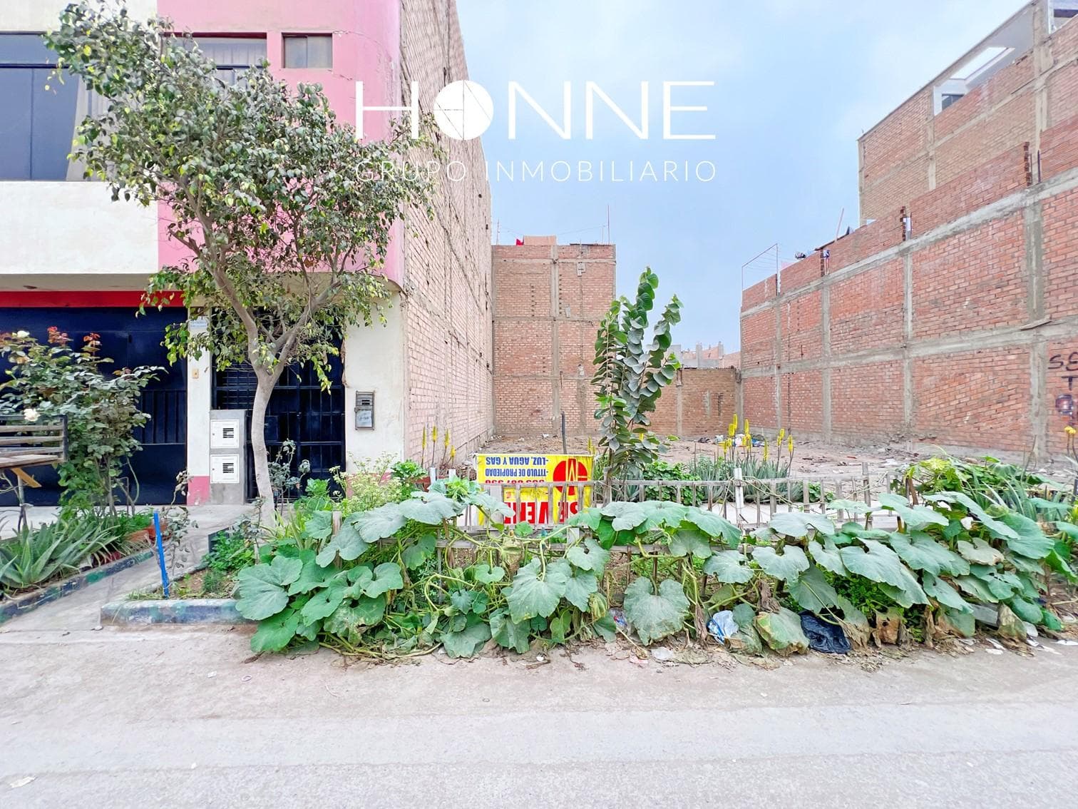 Terreno en SAN PEDRO - 1