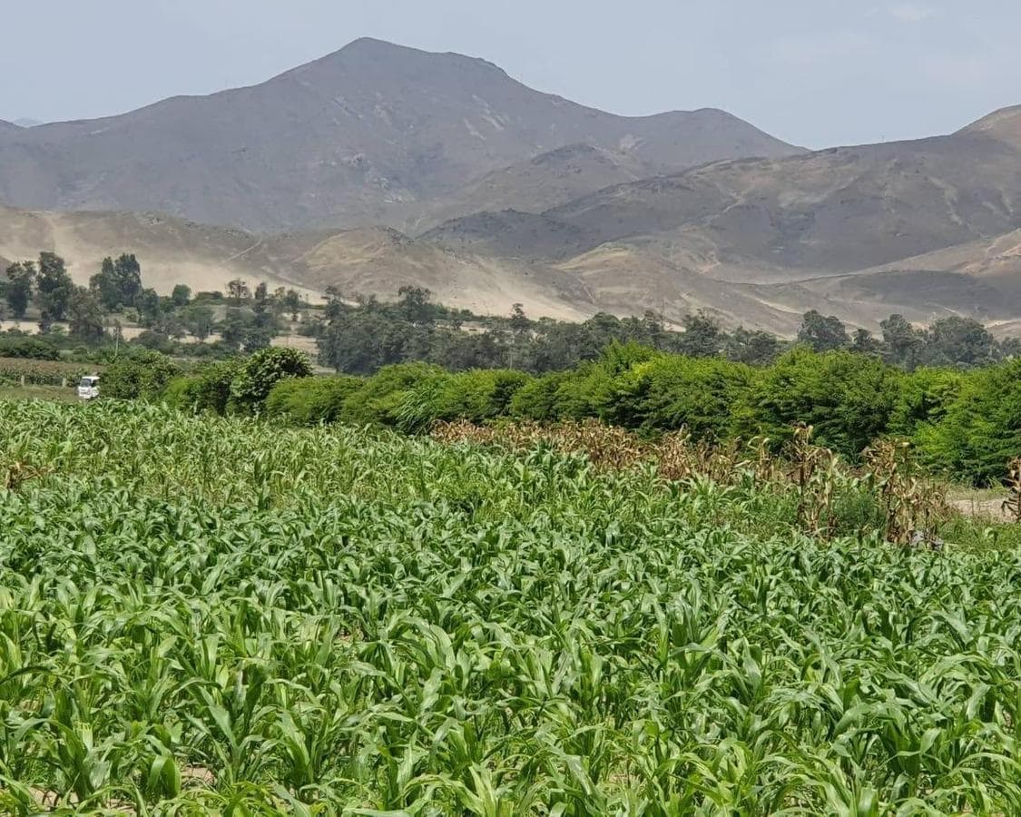 Venta de Terreno en El Hatillo, Chancay - 1