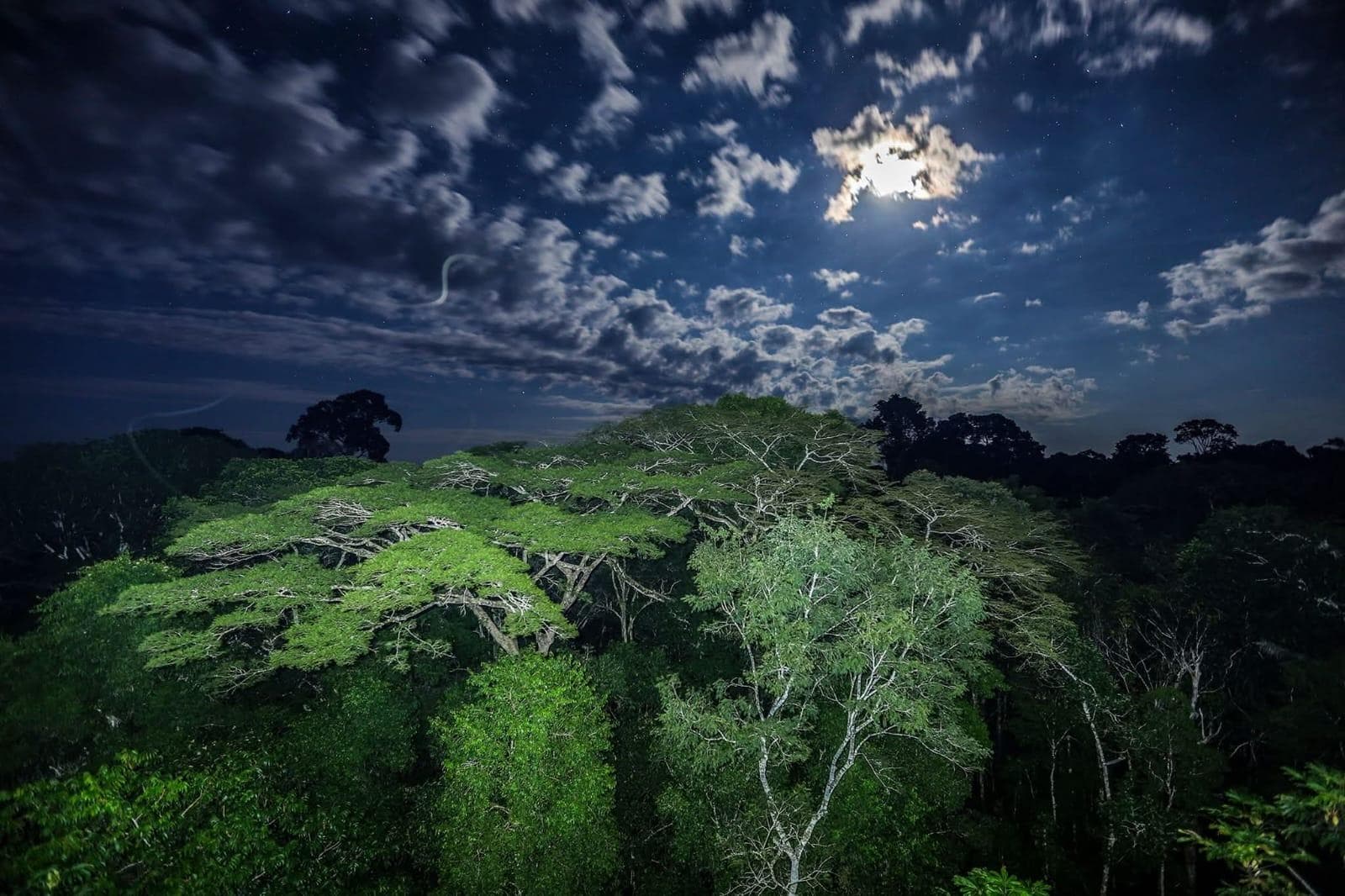 Terreno en Tambopata, Madre de Dios - 1