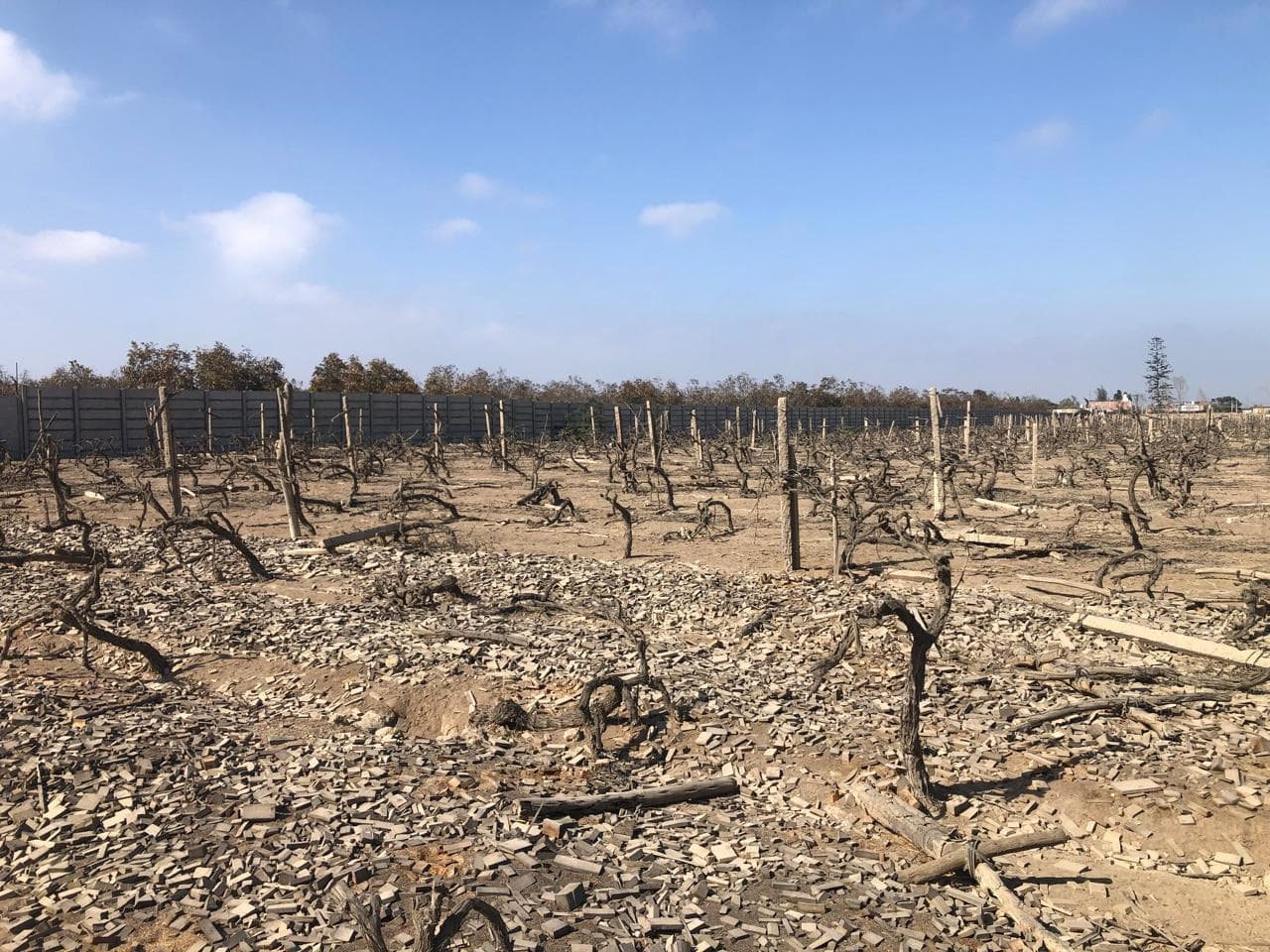 Venta Terreno en Chincha Alta - 1