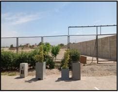 Invierta en Chincha: Terreno Urbano de 15,000 m² - 1