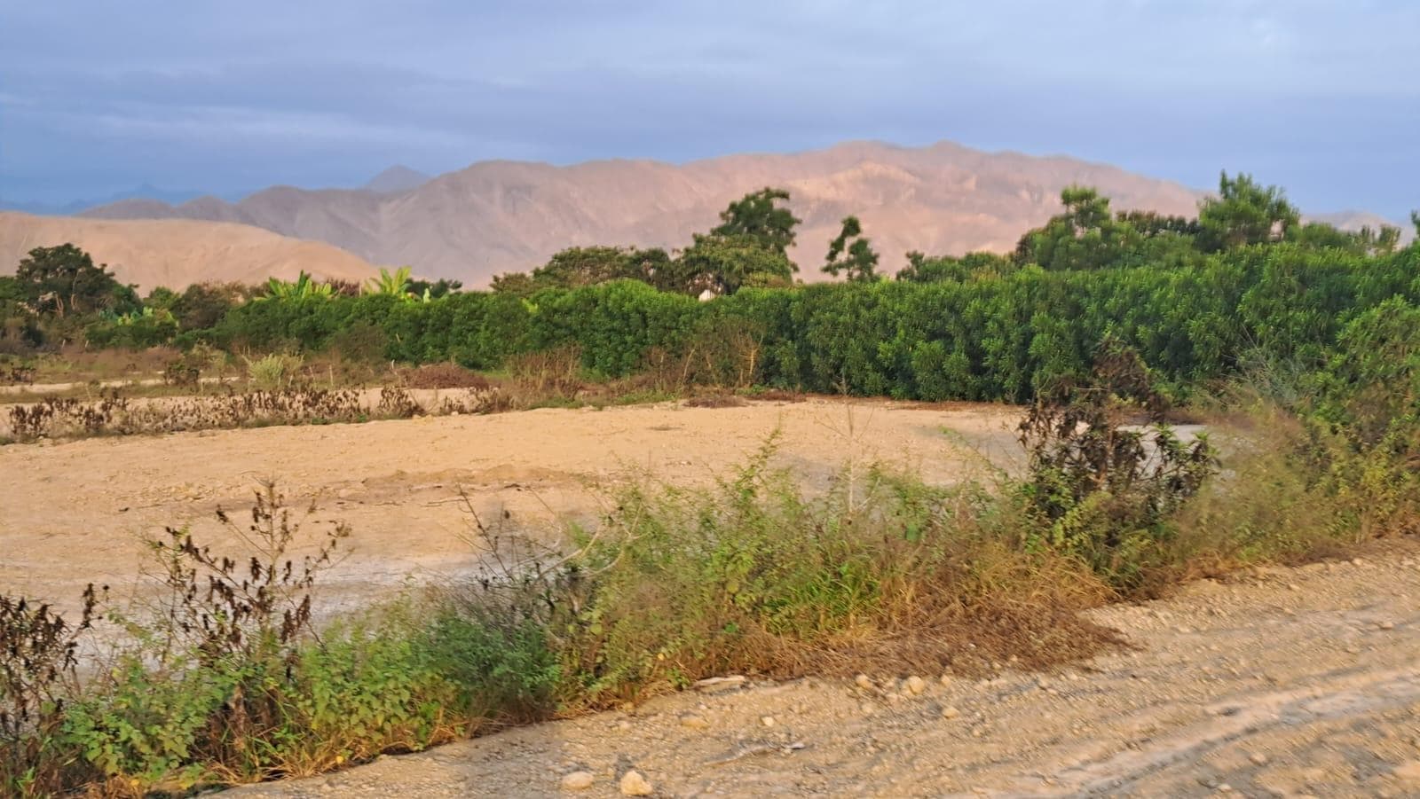 Venta de Terreno en Asia, Cañete de 1,000 m² en El Limón Santa Rosa de Asia, Cañete - 1