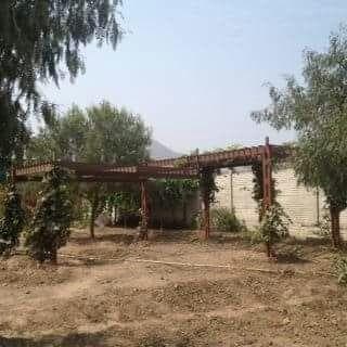 Vendo Lindo Terreno en Calle 8 Pachacamac Mz 0000, Lt 0000, Pachacamac - 1