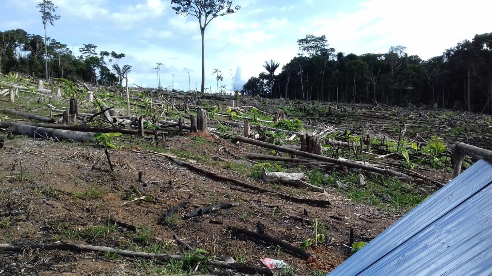 Terreno en Iquitos - 1