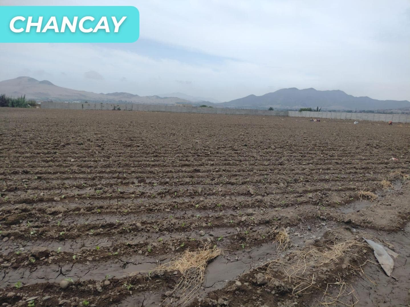 Terreno en Chancay - 1