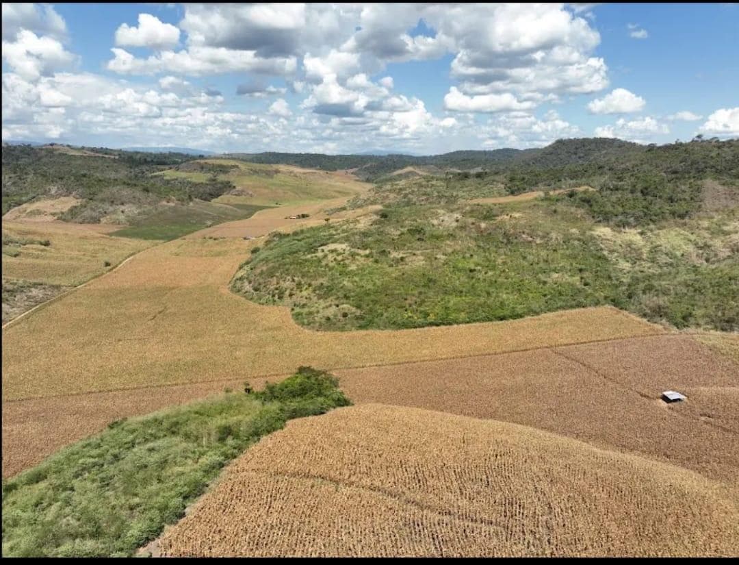Terreno en Picota - 1