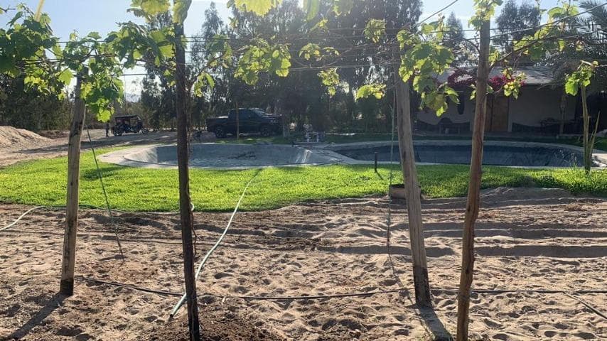 Vendo Bonita Casa de Campo Flat en Avenida Condominio Agrícola Los Olivos N 1, Paracas - 1