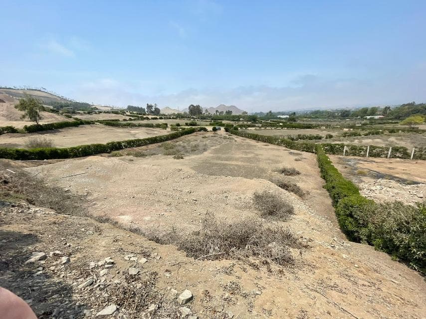 Vendo Terreno Flat en Calle San Fernando N 6, Pachacamac, Pachacamac - 1