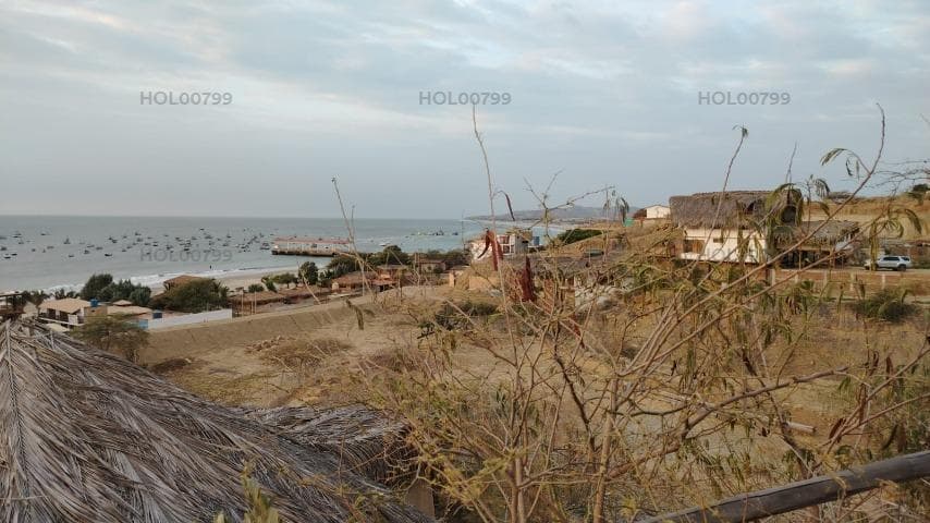 Vendo Terreno De Playa en Calle Punta Veleros N 1, Km 1152, Los Organos, Piura - 1