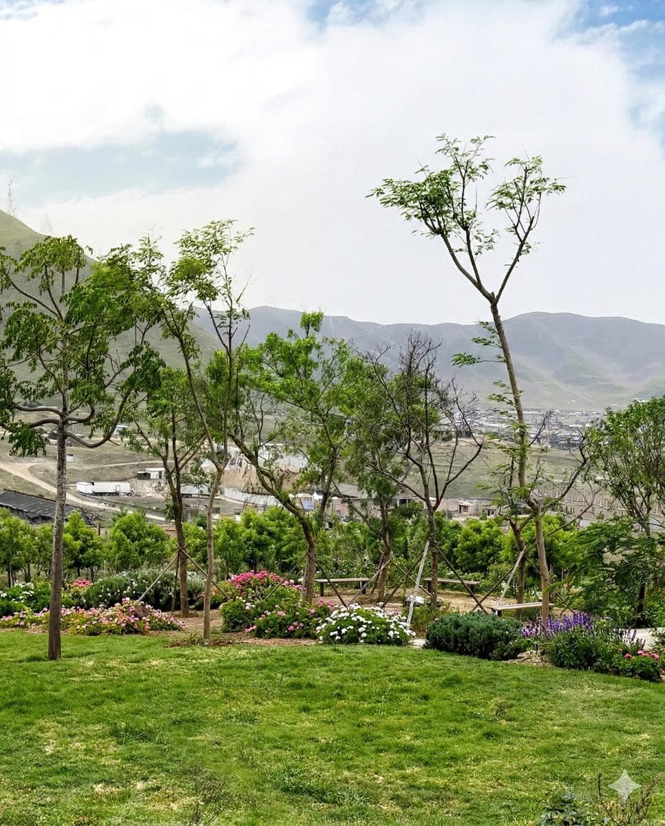 Lotes en Pachacámac desde 500 m² con título de propiedad Precio de lanzamiento - 1