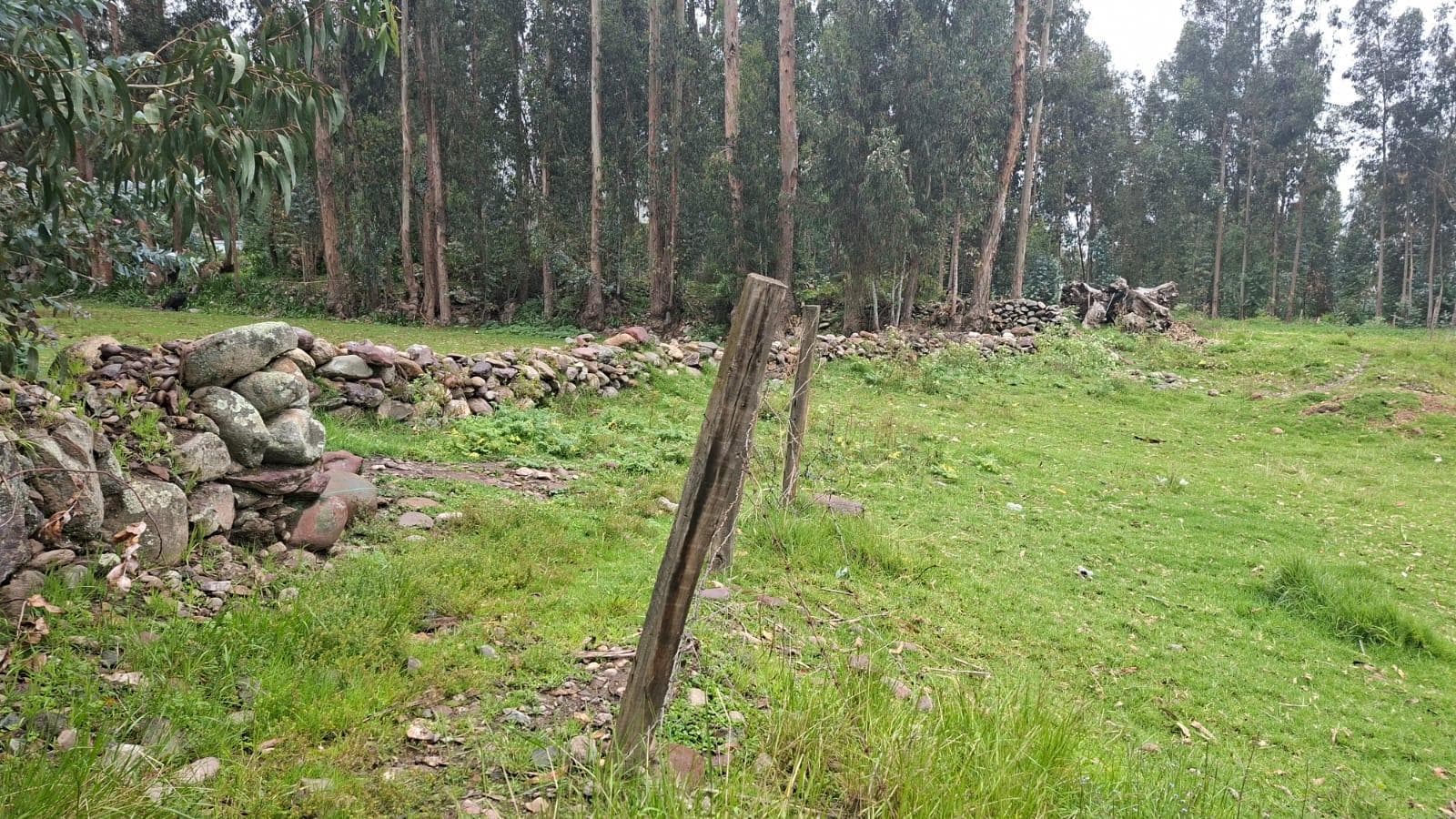 Terreno en venta ideal para recreo campentre ubicado en el tambo, huancayo. - 1