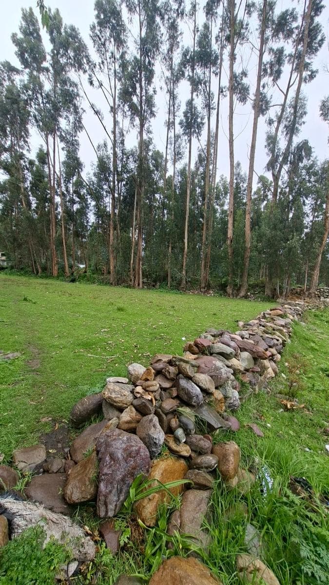 Terreno en venta ideal para recreo campentre ubicado en el tambo, huancayo. - 1