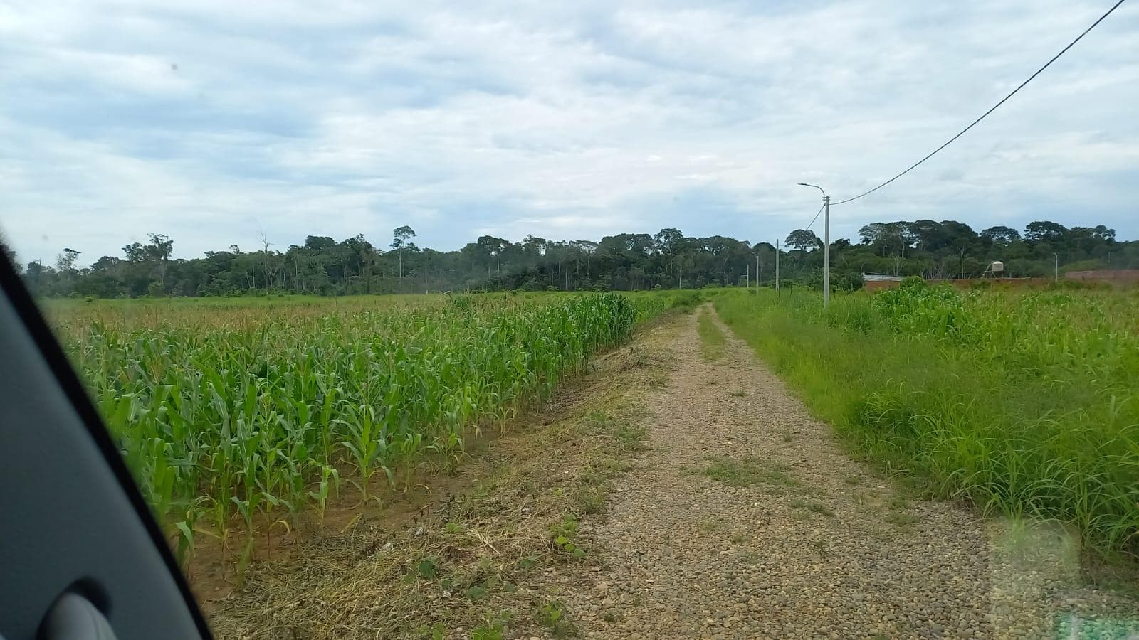 Terreno en PUERTO MALDONADO - 1