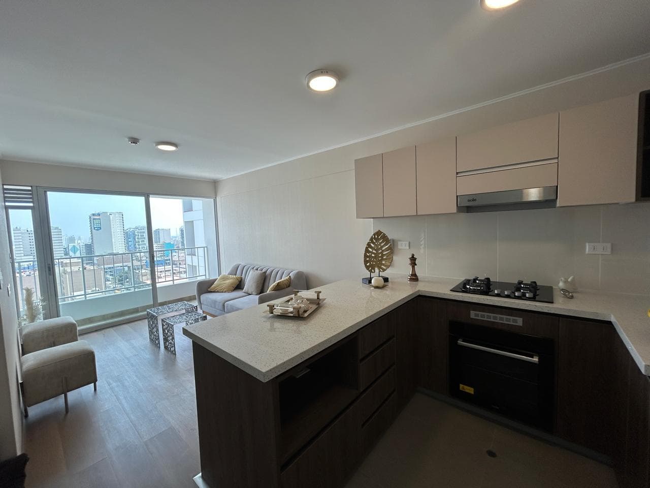 Venta de Departamento en Santa Baeatriz - 1