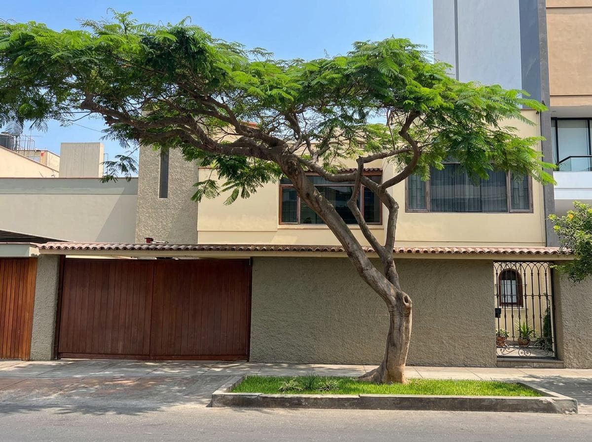Casa con jardín - 1
