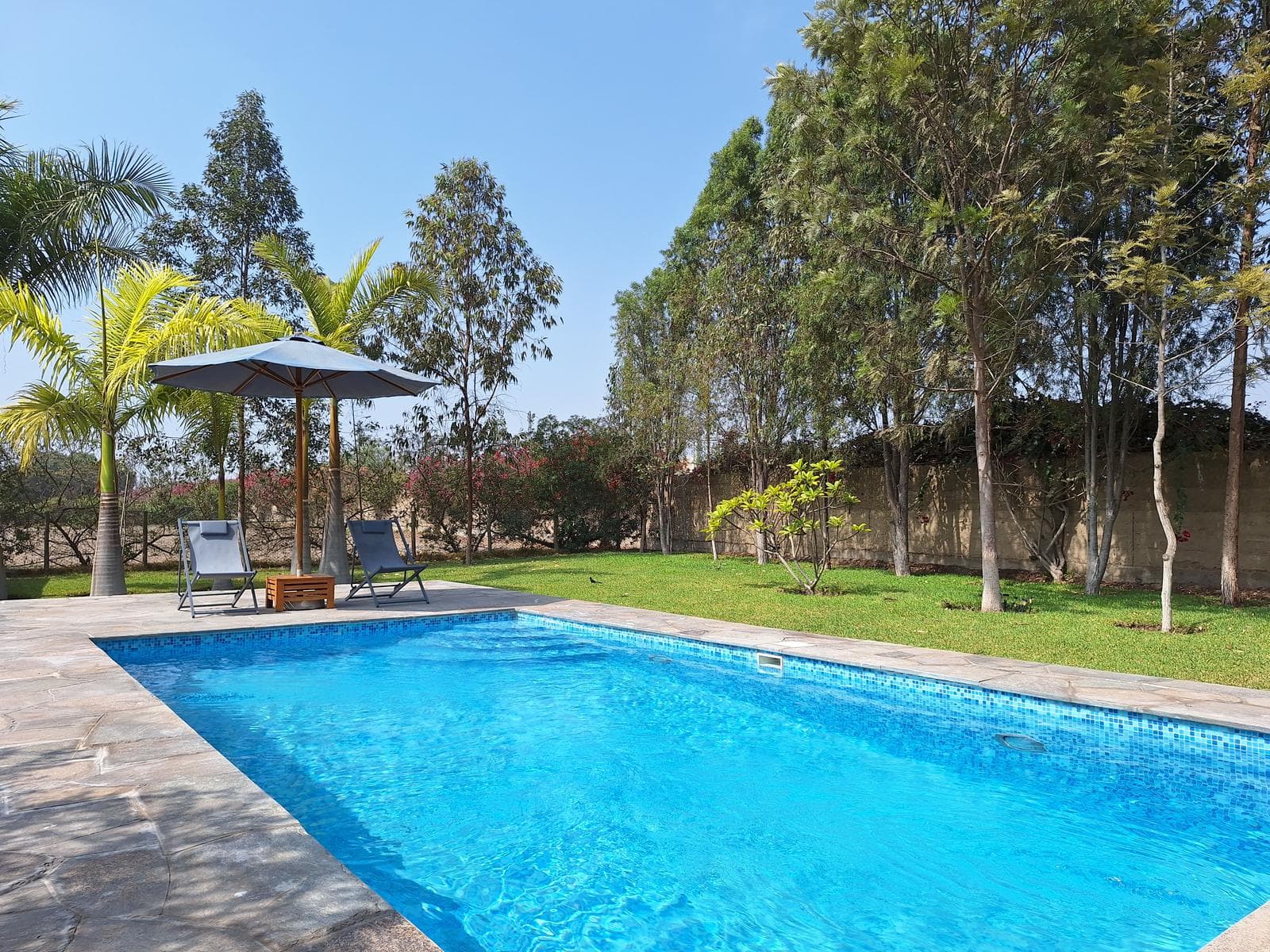 Venta de casa de campo: Chincha- 4,600 m2 - 1
